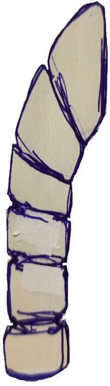 left Arm IMG