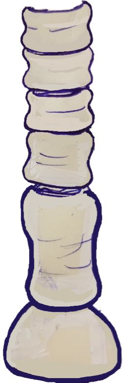 left Leg IMG